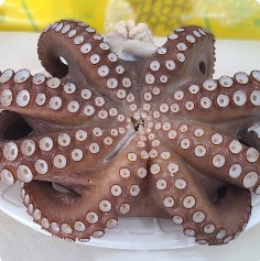 문어(자연산) 1kg