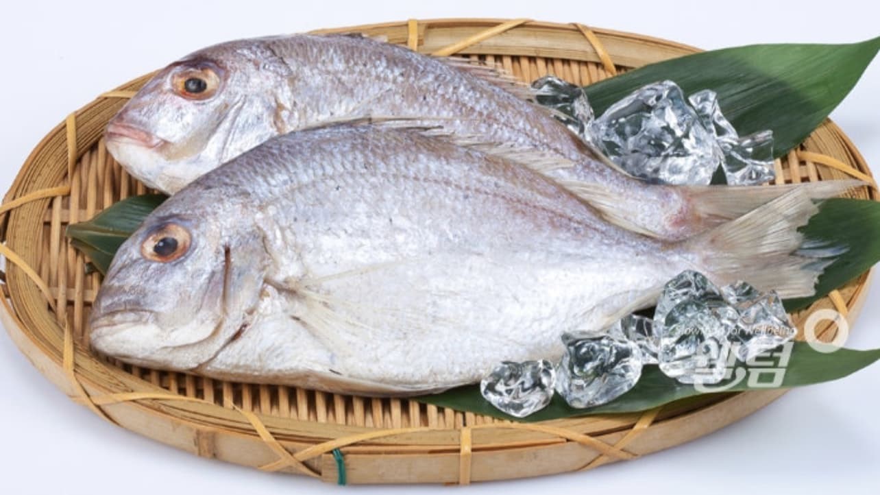 반건조도미(1마리, 30cm이상)